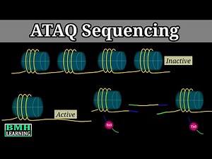ATAC Sequencing | How ATAC-Seq Works | Assay For Transposase-Accessible Chromatin |