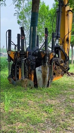 🌳 🚜 Efficient Tree Relocation With Hydraulic Spade