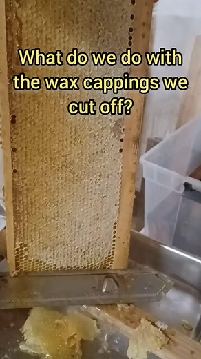 3.5K views · 59 reactions | Beeswax has so many uses - from bow strings to furniture polish and cosmetics - it's a wonderful medium to work with! #beekeeper #honey #honeybees #hive #beeswax #alittledirtneverhurt #sweetadelines #growyourownfood #lapeermichigan #homesteadlife | A Little Dirt | Facebook