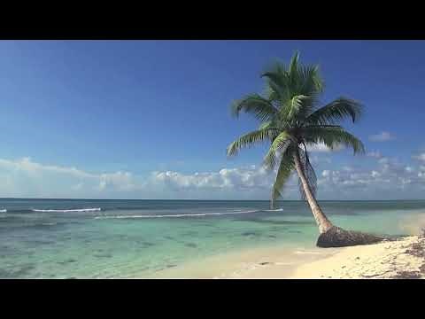 ブラジル音楽とベストブラジル音楽ブラジルジャズ音楽とブラジル音楽のベストコレクション