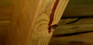 Tips for Locating Hard to Find Roof Leaks - Today's Homeowner