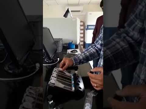 Loading panels in BD Phoenix M50.