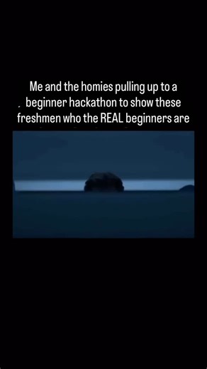 CS major | Software engineer on Instagram: "Struggling with leetcode? Click the link in my bio to try the duolingo for Leetcode #csmajor #codingmemes"