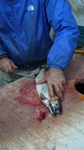 99% of People Don't Know This Fish Fillet Trick