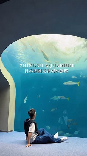 raymond 瑞門 ｜旅遊、美食、開箱、住宿、日本旅遊 on Instagram: "日本四國最夢幻水族館 夏天躲進水族館好消暑😍 不用潛水也能擁抱整片海洋（笑） 藍藍的看了很療癒 來四國旅行的朋友一定不能錯過這裡！ #四國旅行 #四國水族館 #SHIKOKUAQUARIUM #japan #japantravel #shikoku"
