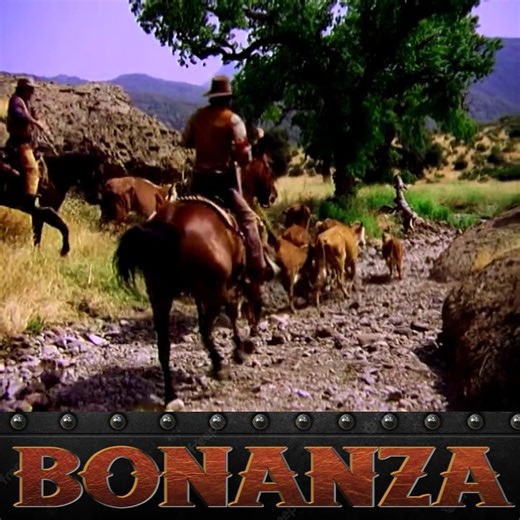 Bonanza Season 11 Episode 6- To Stop a War - P2 | Bonanza Forever