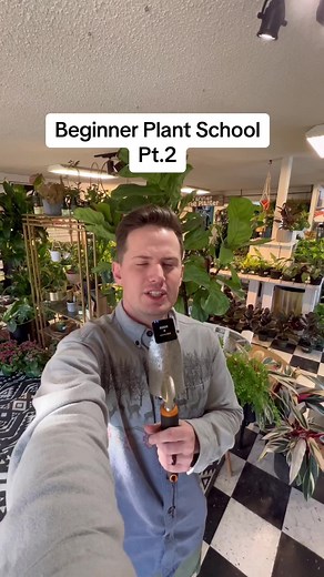 How to Use a Light Meter for Plants - Beginner Plant School Pt.2