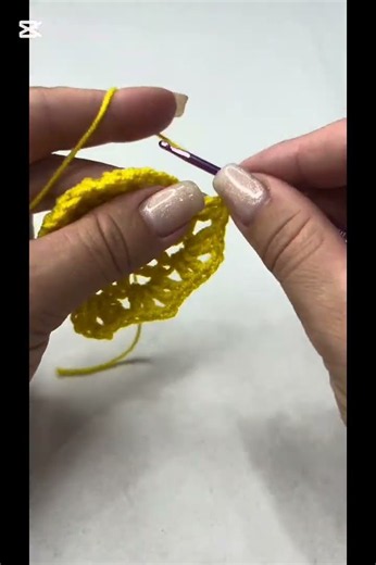 Celestial Bloom Motif - Part 6 - Double Crochet into a Chain Space