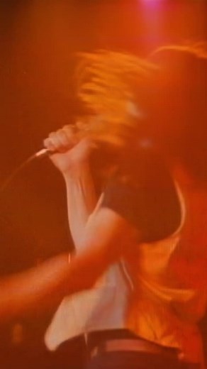 Bob Seger Hollywood Nights Live Music Performance