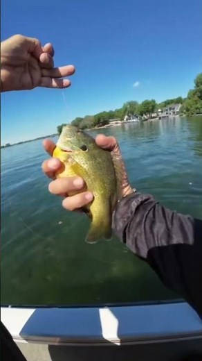 Prior lake fishing, it was a great time on water