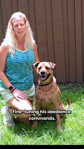 Meet Titan | Pack Introduction 🌀