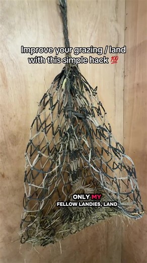 Enhance Land Management with Simple Mulching Techniques