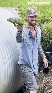 You can run, but you can not hide! | Python Cowboy Hunts