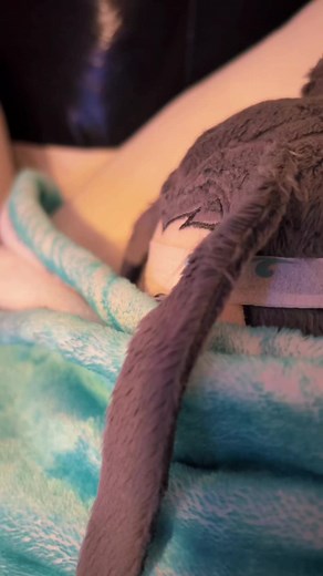 GEGE!! #wangxiandolls #weiyingdoll #weiyingdoll #weiwuxian #modaozushi #lanzhan #lanzhandoll #lanwangji #lanzhanxweiying #wangyibo #xielian #xieliandoll #huacheng #huachengdoll #hualian #hualiandolls