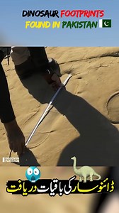 Dinosaur Footprints Found in Pakistan😲😱 #dinasour #footprints #dinosaur #dinosaurfossil #DidYouKnow #DiscoverPakistan | Discover Pakistan