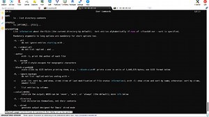 09-linuxbash及基础命令