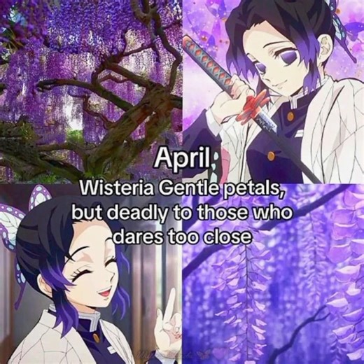 (your month your Demon Slayer flower quote ✨💐🌸) demon Slayer kemitsunoyaiba