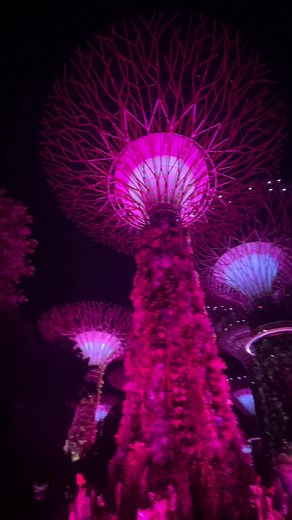 Can we skip to the good part?! 🤩 #WSeries has arrived in Singapore for the #SingaporeGP, let’s go. 🤟🇸🇬 #Motorsport #WSeriesSingapore #F1 #Fyp #fypシ #Sports #WomenOfTikTok