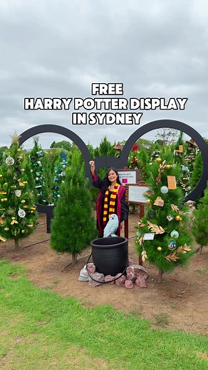 Visit the Magical Harry Potter Christmas Tree Farm in Sydney