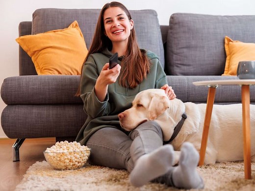 Modern, intuitiv und inklusiv: Überarbeitete Mediathek – ZDF präsentiert neues Streaming-Portal