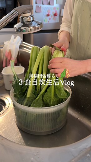 【 3食自炊生活 】ちぢみ小松菜の漬け物🥣🫙 ￤ちぢみ小松菜…（480ｇ） ￤塩…野菜に対して2%（9.6ｇ） ￤★酒…大さじ１ ￤★みりん…大さじ１ ￤味噌…大さじ１ ￤赤唐辛子 1⃣茎と葉に分けてカット。 2️⃣ジッパー袋に茎と葉を分けて入れ 茎の方にだけ塩をかけて揉み込み、 重しを乗せて、水分を出す。 （ 途中で揉んだりして半日放置） 3️⃣水気を絞っておく。★をレンチン1分加熱。 味噌と溶いて、ちぢみ小松菜に加えて揉み込む。ここで赤唐辛子。 4️⃣野菜室で5~6日間寝かせる。 5⃣水で洗って絞る。 （塩辛いと感じた場合は水に5分ほど浸す） 完成✨ #同棲ごはん #ちぢみ小松菜 #漬物レシピ
