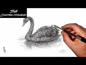 How to Draw a Black Swan in a Scribble Art Style