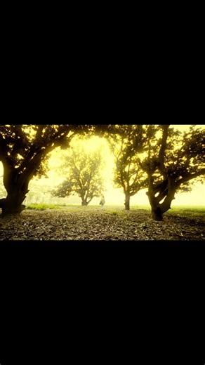 Master series ft davinci #colourgrading