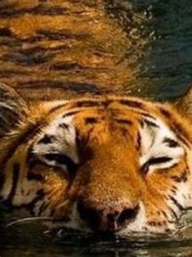 ☆ Banner post!! (Part 2) ☆ #banner