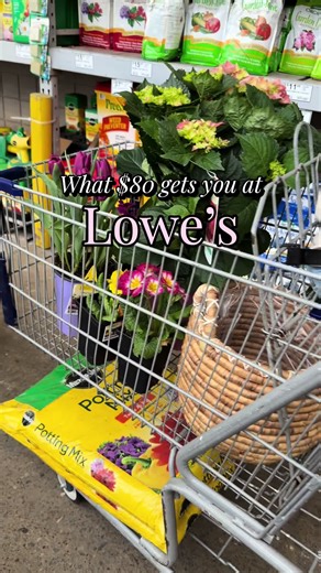 Unbelievable Clearance Deals at Lowe's for Spring