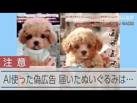AI使ったニセ広告 届いたぬいぐるみは… SNS上の動画広告でトラブル