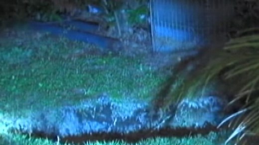 New Sinkhole in Florida Town Puts Residents on Edge