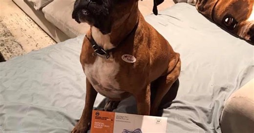 Orange County woman who registered dog to vote says she did so to "expose flaws" in voter system