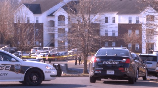 Man sentenced to life in prison after Johnson City apartment murder