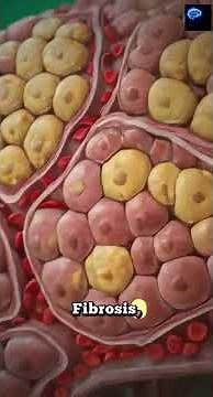 The Hidden Damage Alcohol Does to Your Body (Most People Don’t Know)
