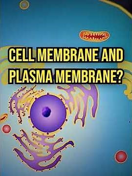 Difference between cell membranes and plasma membranes? #neet #nta