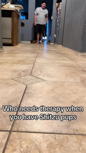 Shih Tzu on Instagram: "Who needs therapy when tiny Shih Tzu pups basically melt all your stress away 🤍🐾 🎥 Via TikTok @maribel.rangel #shihtzu #shihtzulove #shihtzupuppy #shihtzulife #shihtzusofinstagram"