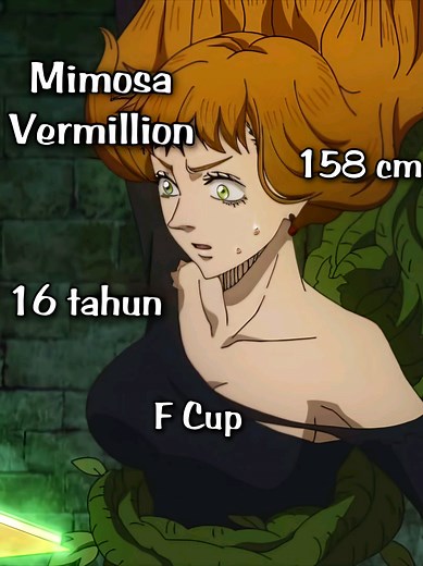 Mimosa Highlights in Black Clover Animations