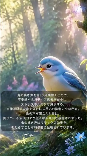 【528Hz・脳疲労回復】DNAを修復するソルフェジオ周波数と自律神経を整える。睡眠導入、ストレス緩和、疲労回復 ＃脳の疲れを取る音楽＃自律神経を調整する音楽 ＃ソルフェジオ周波数