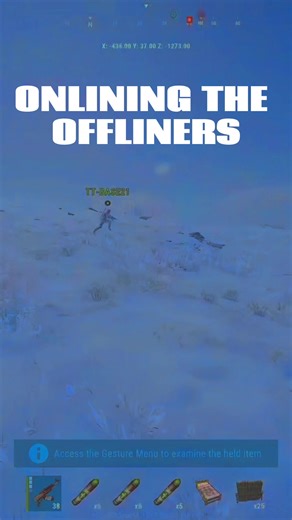 Exploring Rust Console Gameplay Tips