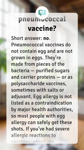 Is there egg in the pneumococcal vaccine?