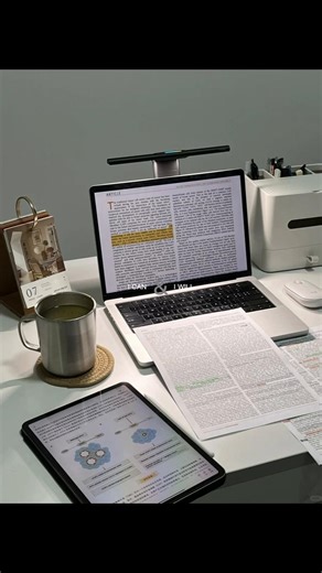 Only you and you alone can make you succeed. #productivity #motivation #organization #fyp #success