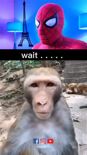 ɪɴꜱᴛᴀʀ ᴏꜰꜰɪᴄɪᴀʟ on Instagram: "𝙏𝙝𝙚 𝙃𝙤𝙣𝙙𝙖 𝘾𝙞𝙫𝙞𝙘 𝙏𝙮𝙥𝙚 𝙍 𝙞𝙨 𝙖 𝙝𝙞𝙜𝙝𝙥𝙚𝙧𝙛𝙤𝙧𝙢𝙖𝙣𝙘𝙚 𝙫𝙖𝙧𝙞𝙖𝙣𝙩 𝙤𝙛 𝙩𝙝𝙚 𝙃𝙤𝙣𝙙𝙖 𝘾𝙞𝙫𝙞𝙘 𝙠𝙣𝙤𝙬𝙣 𝙛𝙤𝙧 𝙞𝙩𝙨 𝙨𝙥𝙤𝙧𝙩𝙮 𝙘𝙝𝙖𝙧𝙖𝙘𝙩𝙚𝙧𝙞𝙨𝙩𝙞𝙘𝙨 𝙖𝙣𝙙 𝙧𝙖𝙘𝙞𝙣𝙜 𝙝𝙚𝙧𝙞𝙩𝙖𝙜𝙚 𝙆𝙚𝙮 𝙛𝙚𝙖𝙩𝙪𝙧𝙚𝙨 𝙤𝙛 𝙧𝙚𝙘𝙚𝙣𝙩 𝙢𝙤𝙙𝙚𝙡𝙨 𝙞𝙣𝙘𝙡𝙪𝙙𝙚 1. * 𝙀𝙣𝙜𝙞𝙣𝙚*: 𝘼 𝙩𝙪𝙧𝙗𝙤𝙘𝙝𝙖𝙧𝙜𝙚𝙙 𝙡𝙞𝙩𝙚𝙧 𝙞𝙣𝙡𝙞𝙣𝙚𝙛𝙤𝙪𝙧 𝙚𝙣𝙜𝙞𝙣𝙚 𝙩𝙮𝙥𝙞𝙘𝙖𝙡𝙡𝙮 𝙥𝙧𝙤𝙙𝙪𝙘𝙞𝙣𝙜 𝙖𝙧𝙤𝙪𝙣𝙙 𝙝𝙤𝙧𝙨𝙚𝙥𝙤𝙬𝙚𝙧