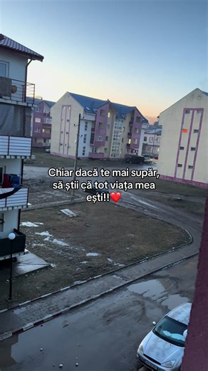 Citate de dragoste pentru cei dragi❤️