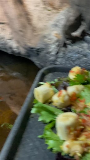 Louie wishes you an abundant 2026 from Reptilandia🎉🎉🎉 | Reptilandia Reptile Lagoon