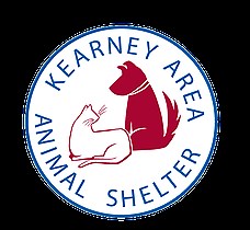 Volunteer | Kearney Area Animal Shelter
