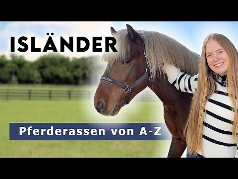 Horse breeds from A-Z | Icelandic horses - Tölt & Pass at the Icelandic farm 😍