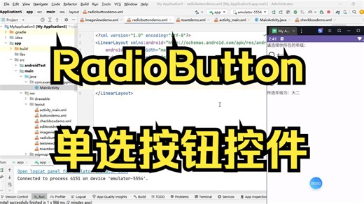 RadioButton控件
