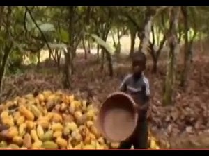 The Dark Side of Chocolate - Child Slavery