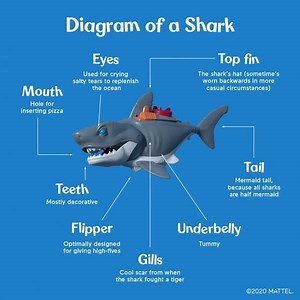Sharks are often misunderstood. Mostly because it’s really hard for them to talk underwater. This chart should help clear things up. | Fisher-Price