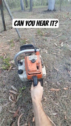 this Stihl 041AV has a bad ignition coil, can you hear it? #stihl